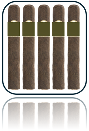 Padron 1964 Anniversary Exclusivo Maduro - 5 Pack